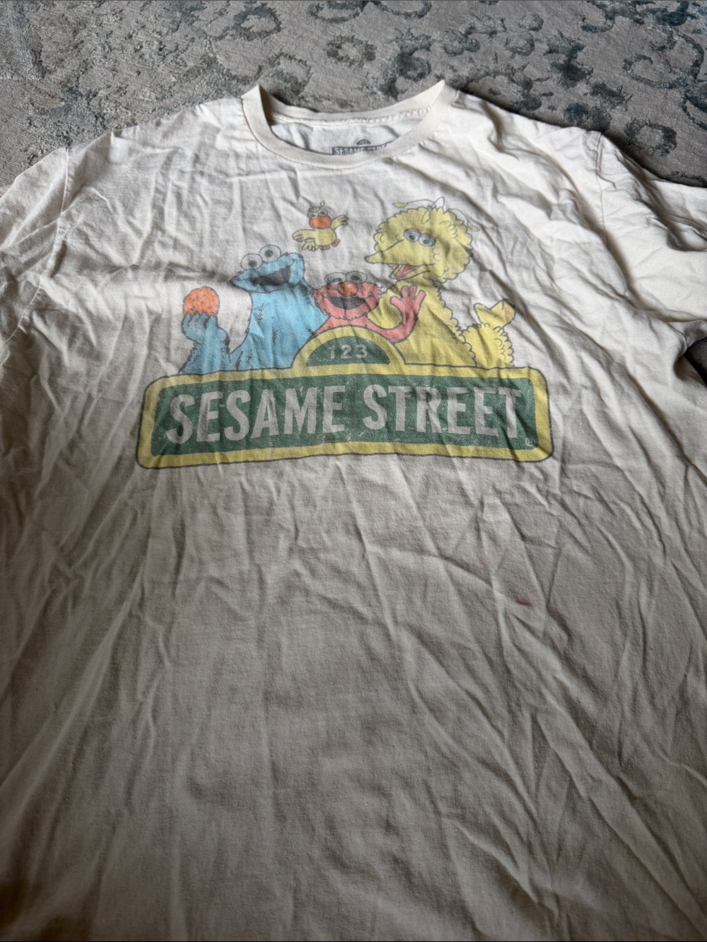 Sesame Street cream  Tee with Colorful Character Graphic